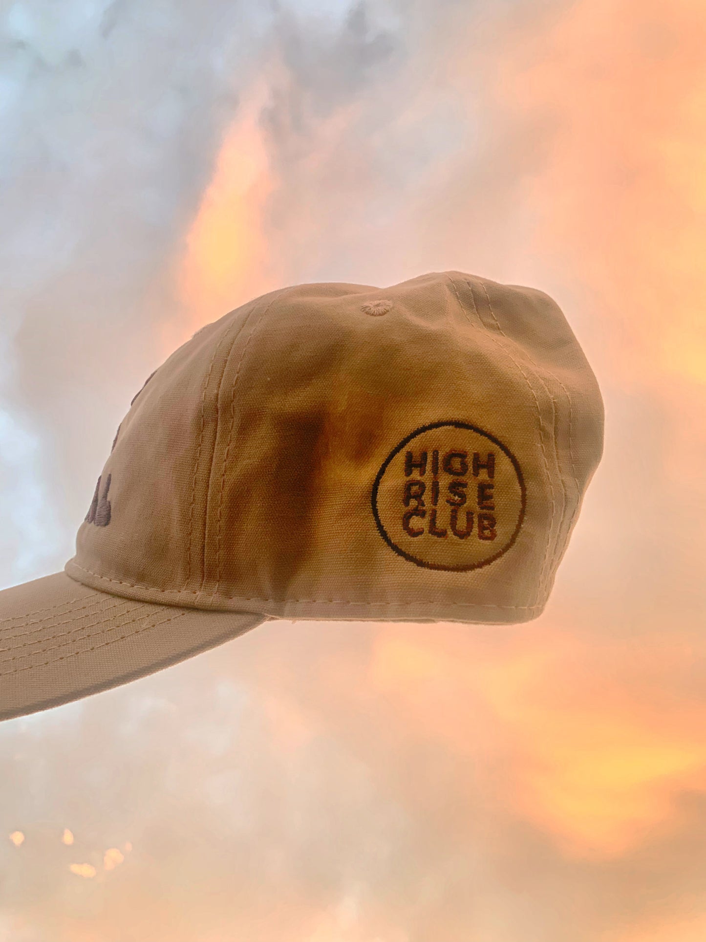 "It's Internal" Dad Hat