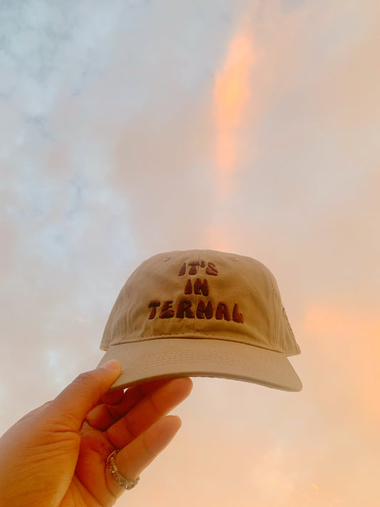 "It's Internal" Dad Hat